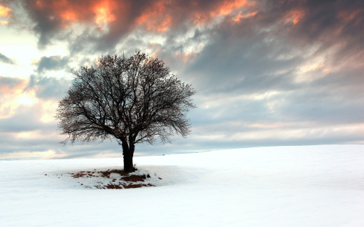 675973 (a): :1920x1200